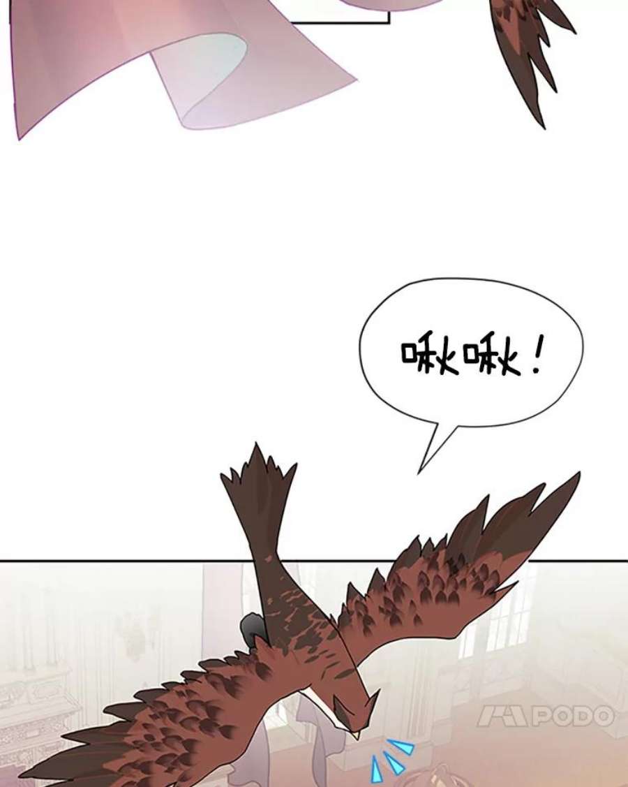 传令鸟公主殿下24.被鸟看上了？