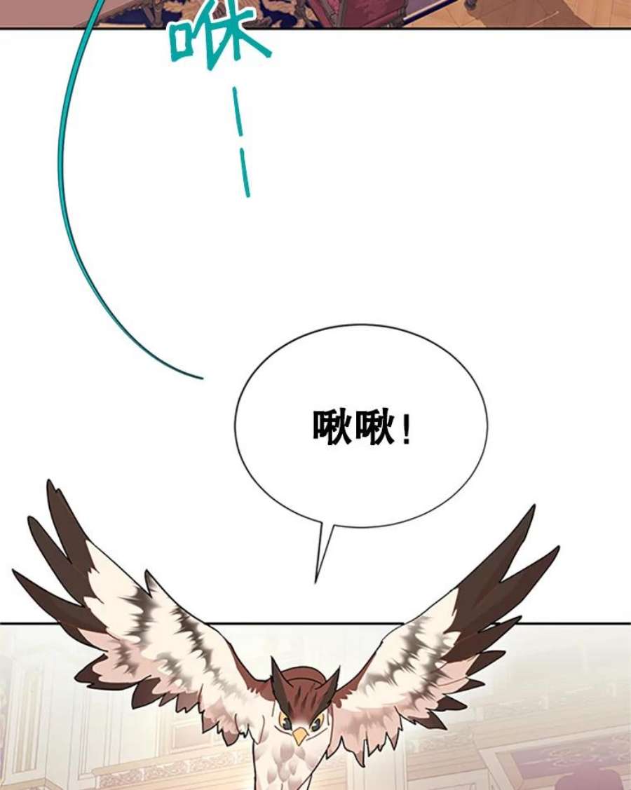 传令鸟公主殿下24.被鸟看上了？