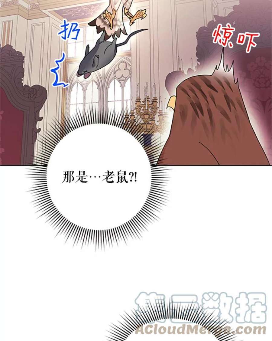 传令鸟公主殿下24.被鸟看上了？