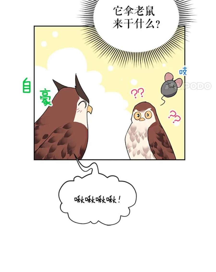 传令鸟公主殿下24.被鸟看上了？