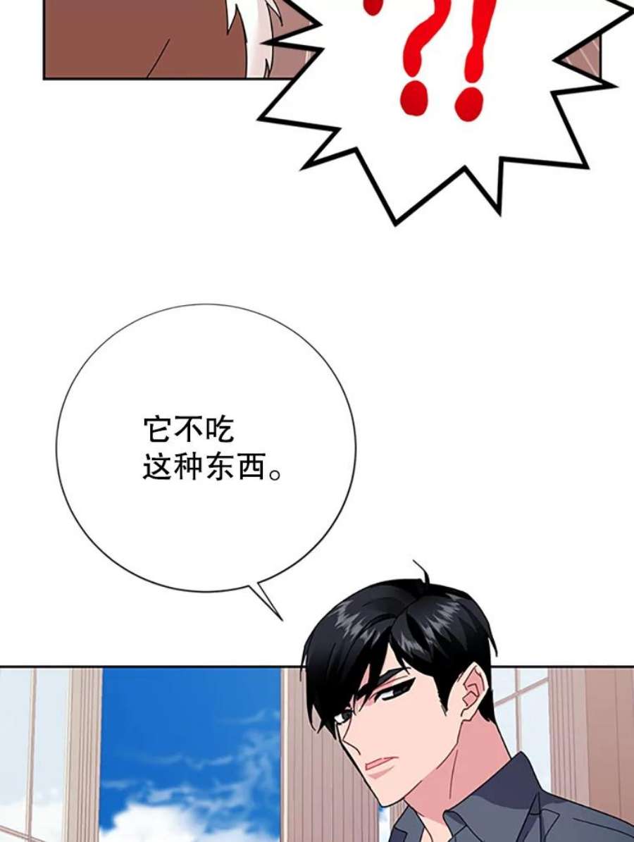 传令鸟公主殿下24.被鸟看上了？