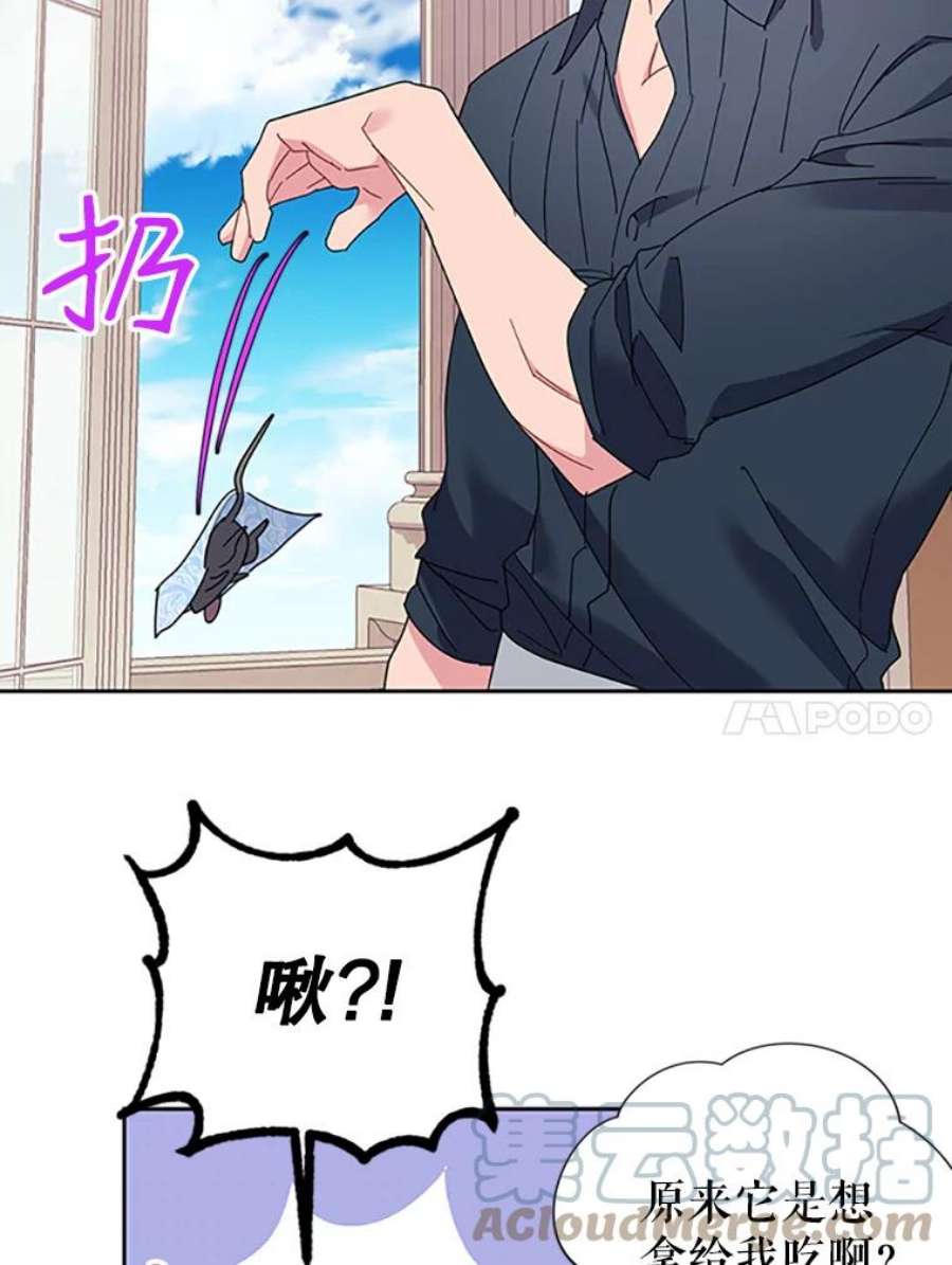 传令鸟公主殿下24.被鸟看上了？