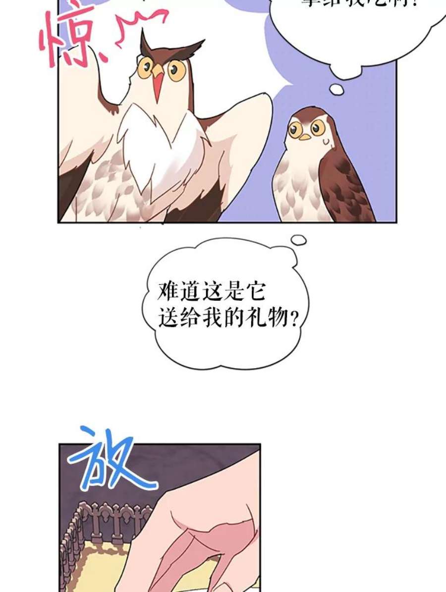 传令鸟公主殿下24.被鸟看上了？