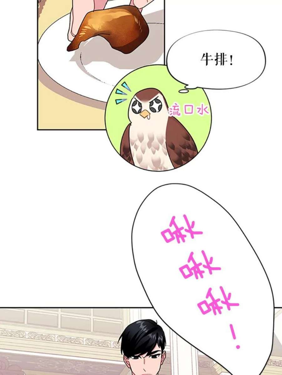 传令鸟公主殿下24.被鸟看上了？