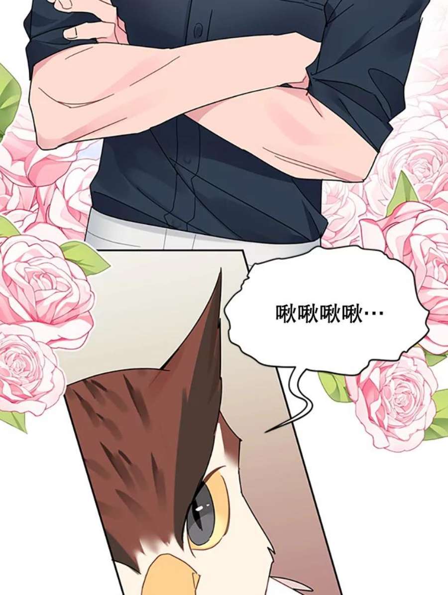 传令鸟公主殿下24.被鸟看上了？