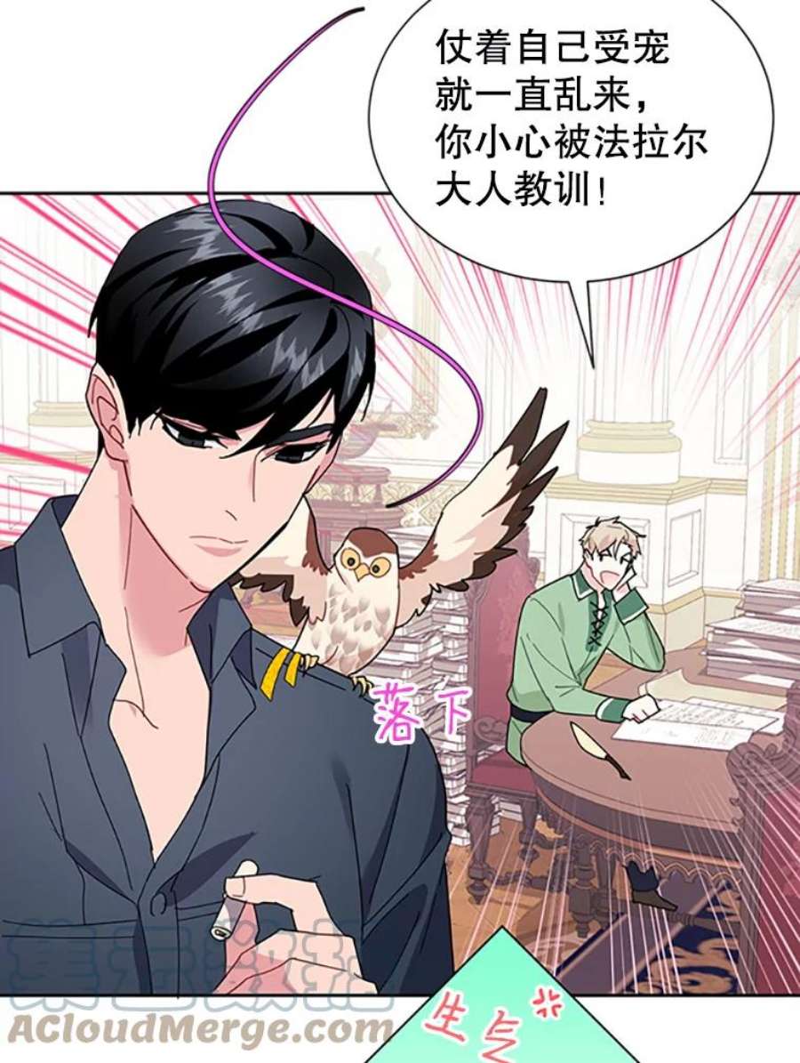 传令鸟公主殿下24.被鸟看上了？
