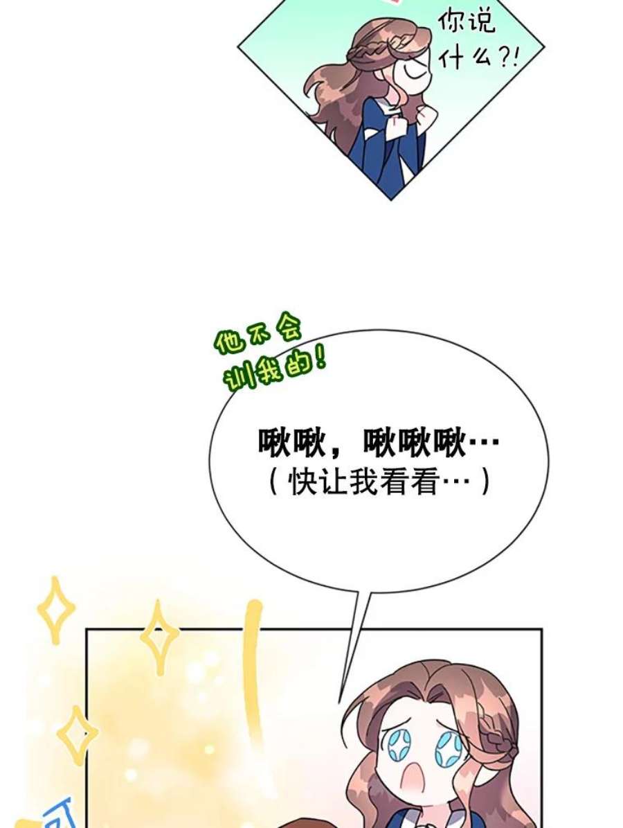 传令鸟公主殿下24.被鸟看上了？