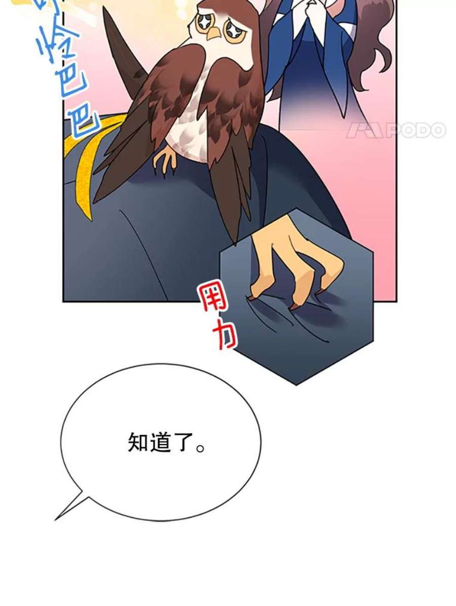 传令鸟公主殿下24.被鸟看上了？