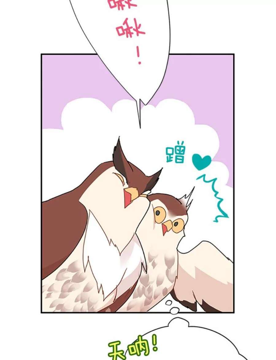 传令鸟公主殿下24.被鸟看上了？