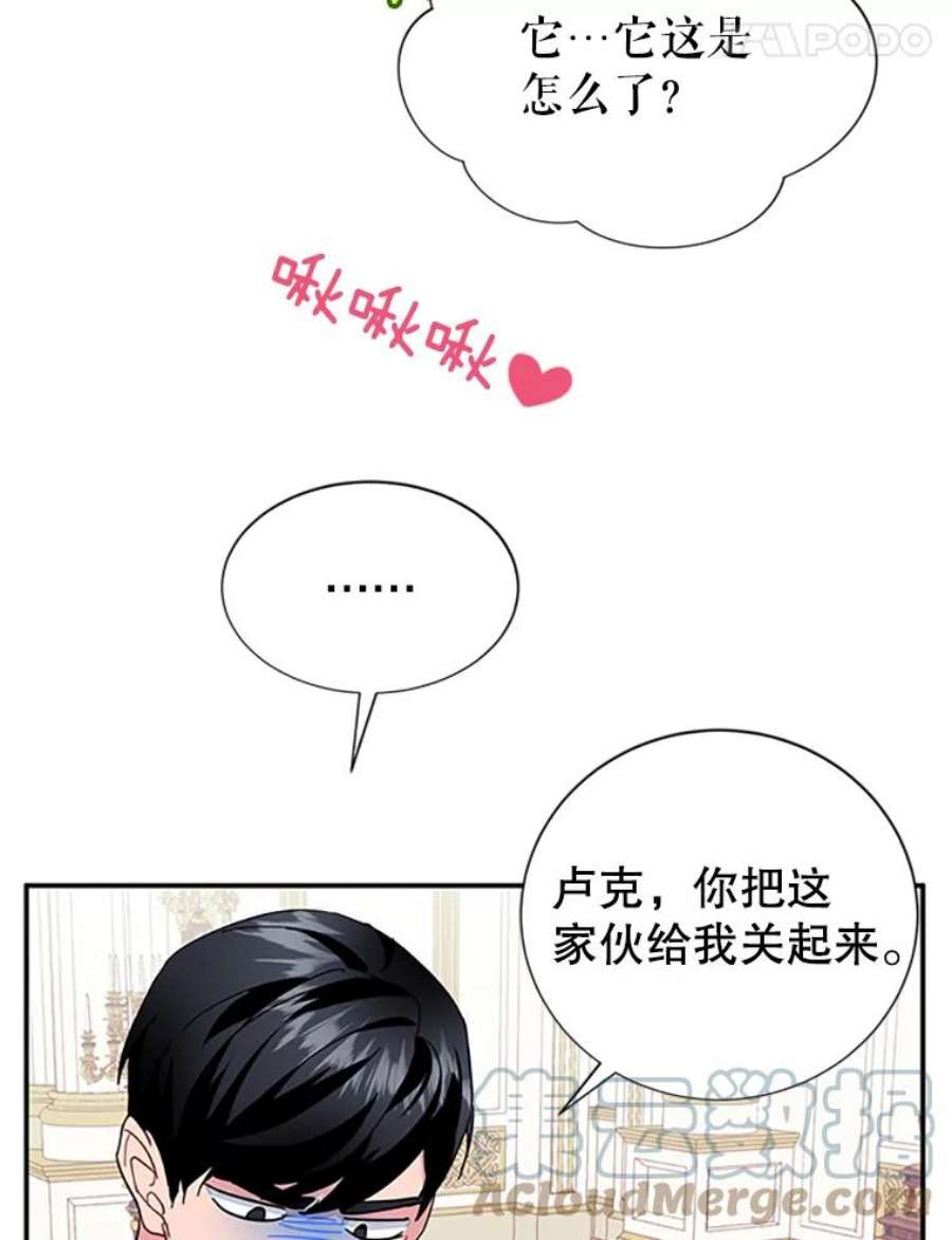 传令鸟公主殿下24.被鸟看上了？