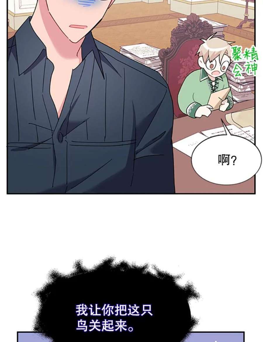 传令鸟公主殿下24.被鸟看上了？