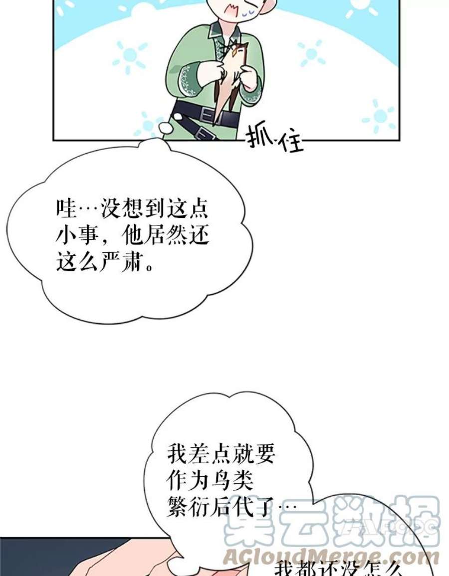 传令鸟公主殿下25.我还活着？