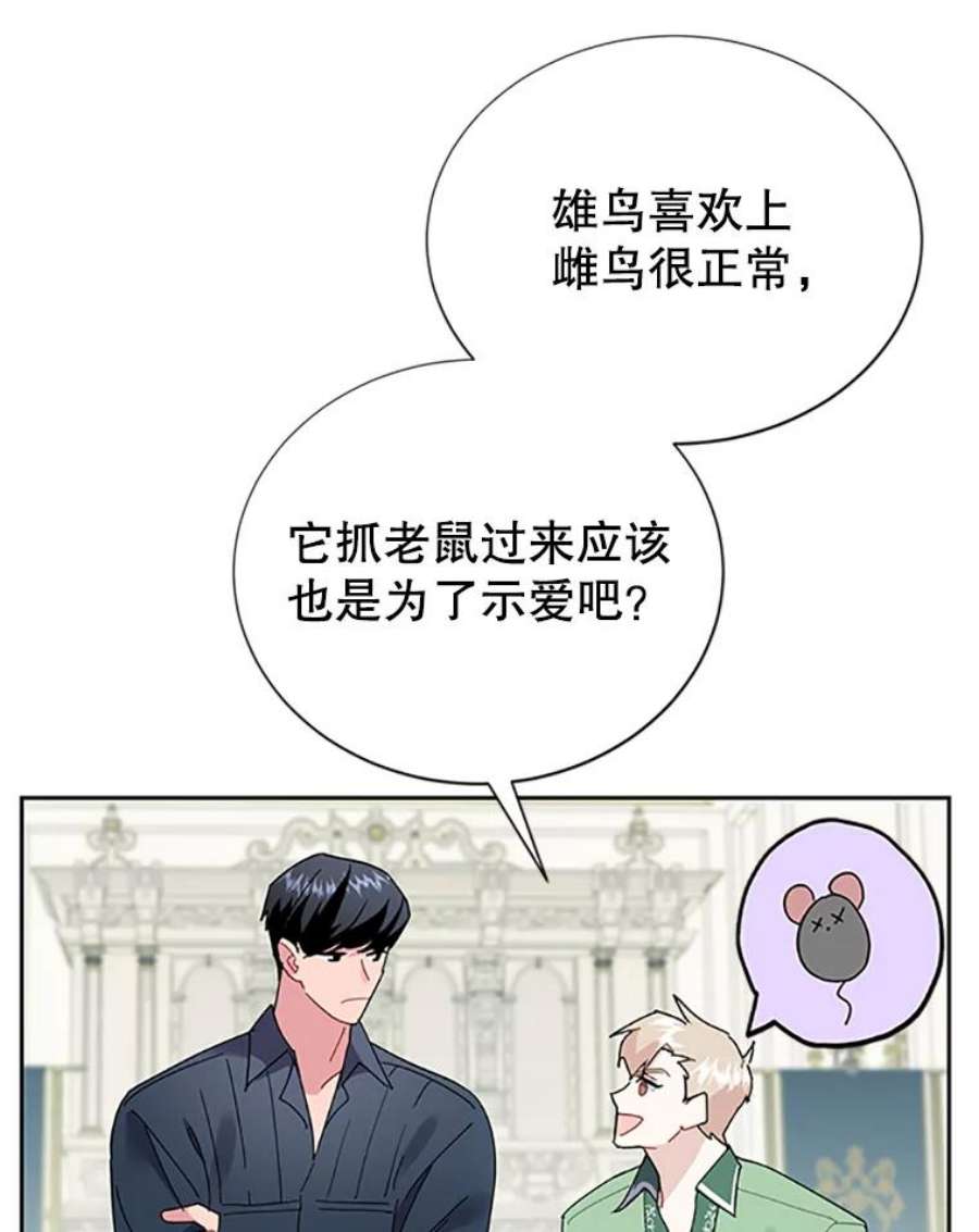 传令鸟公主殿下25.我还活着？