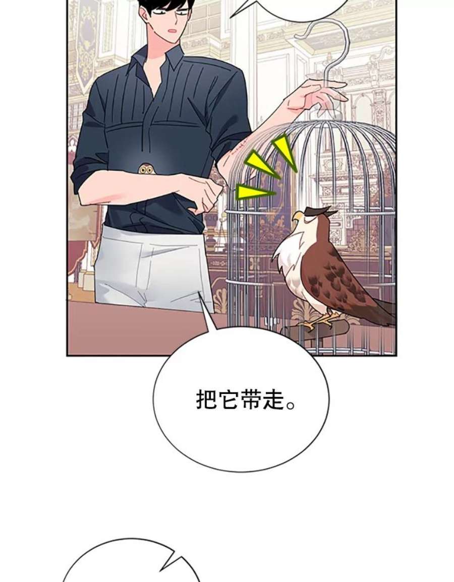传令鸟公主殿下25.我还活着？