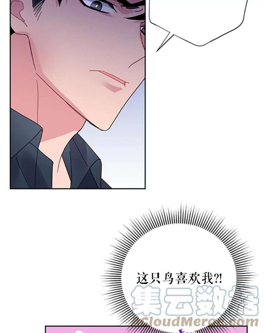 传令鸟公主殿下25.我还活着？