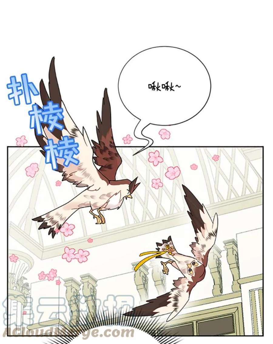 传令鸟公主殿下25.我还活着？
