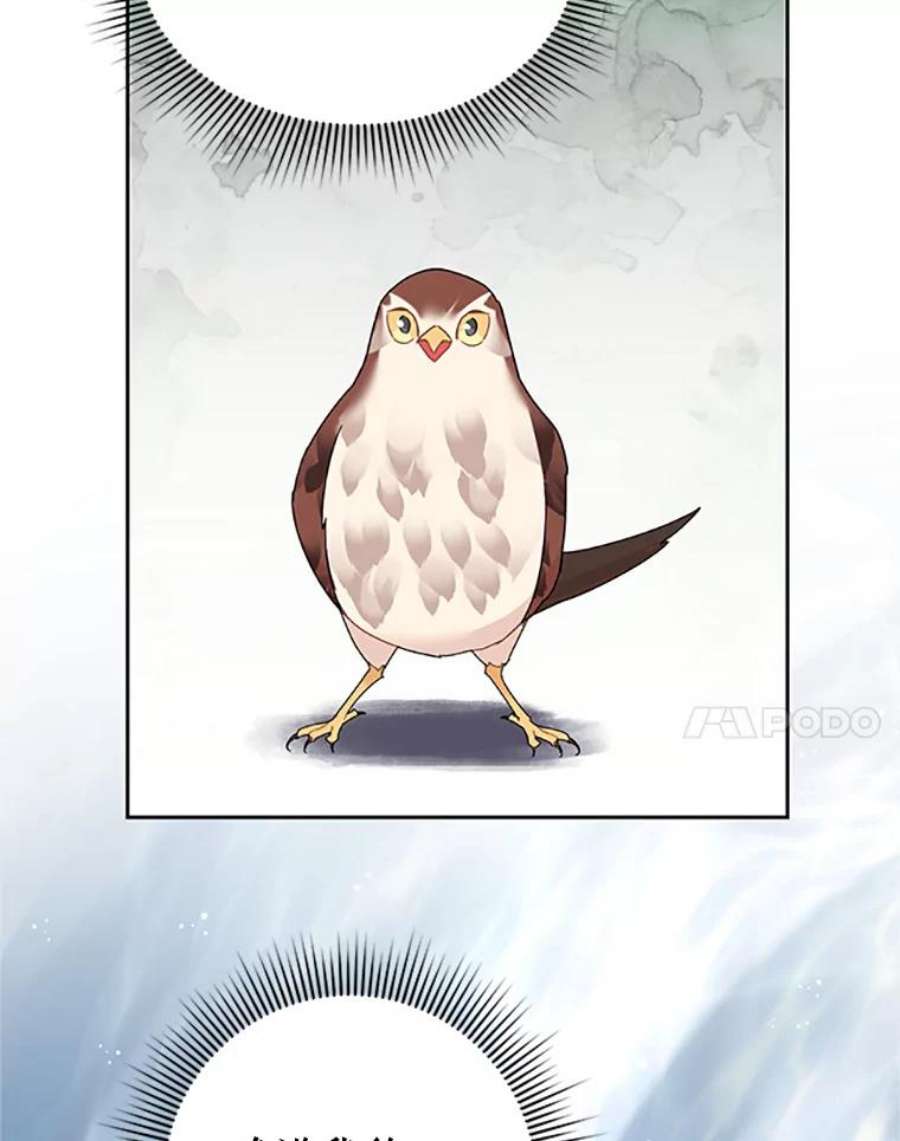 传令鸟公主殿下26.伊蕾，你在哪里？
