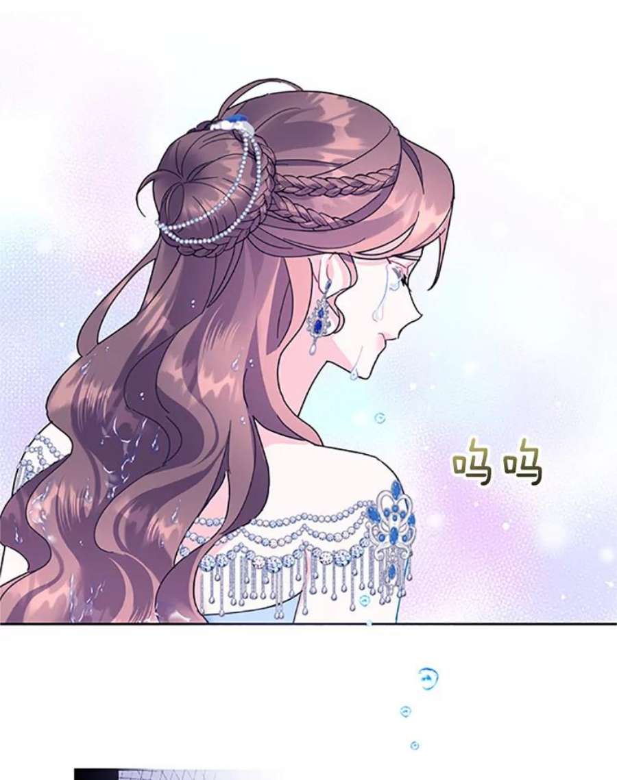 传令鸟公主殿下27.公主的泪