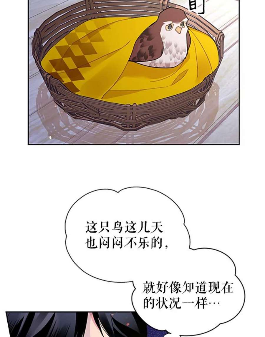 传令鸟公主殿下28.难以释怀