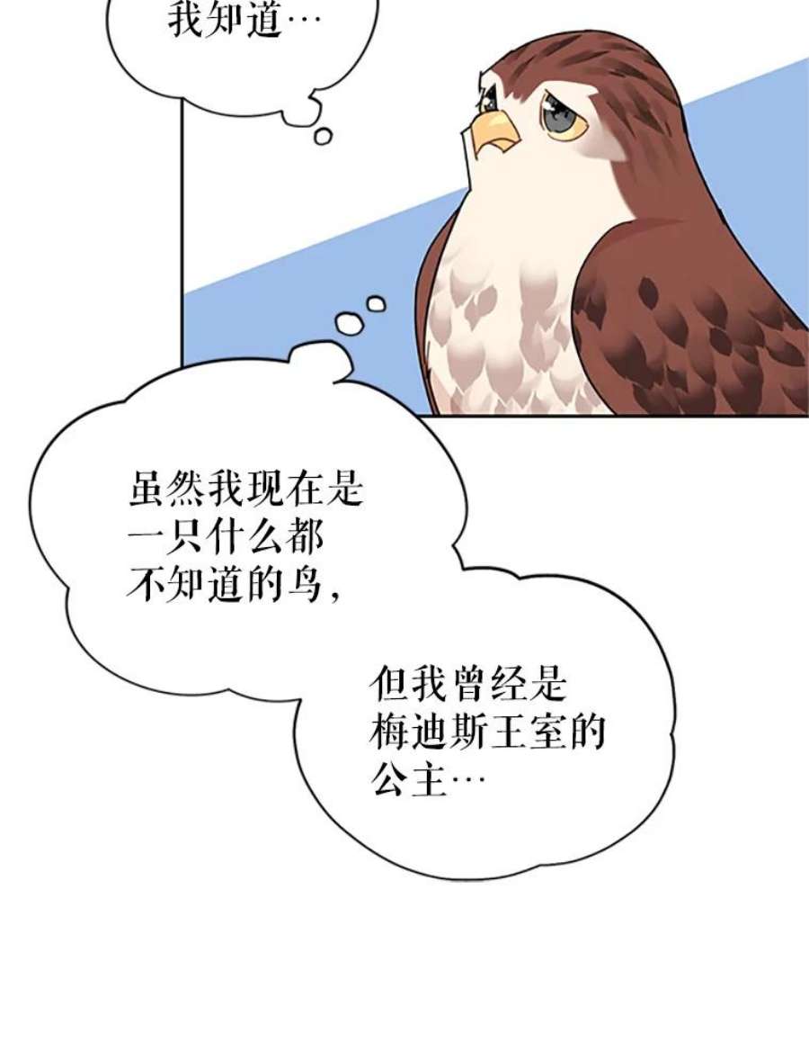 传令鸟公主殿下28.难以释怀