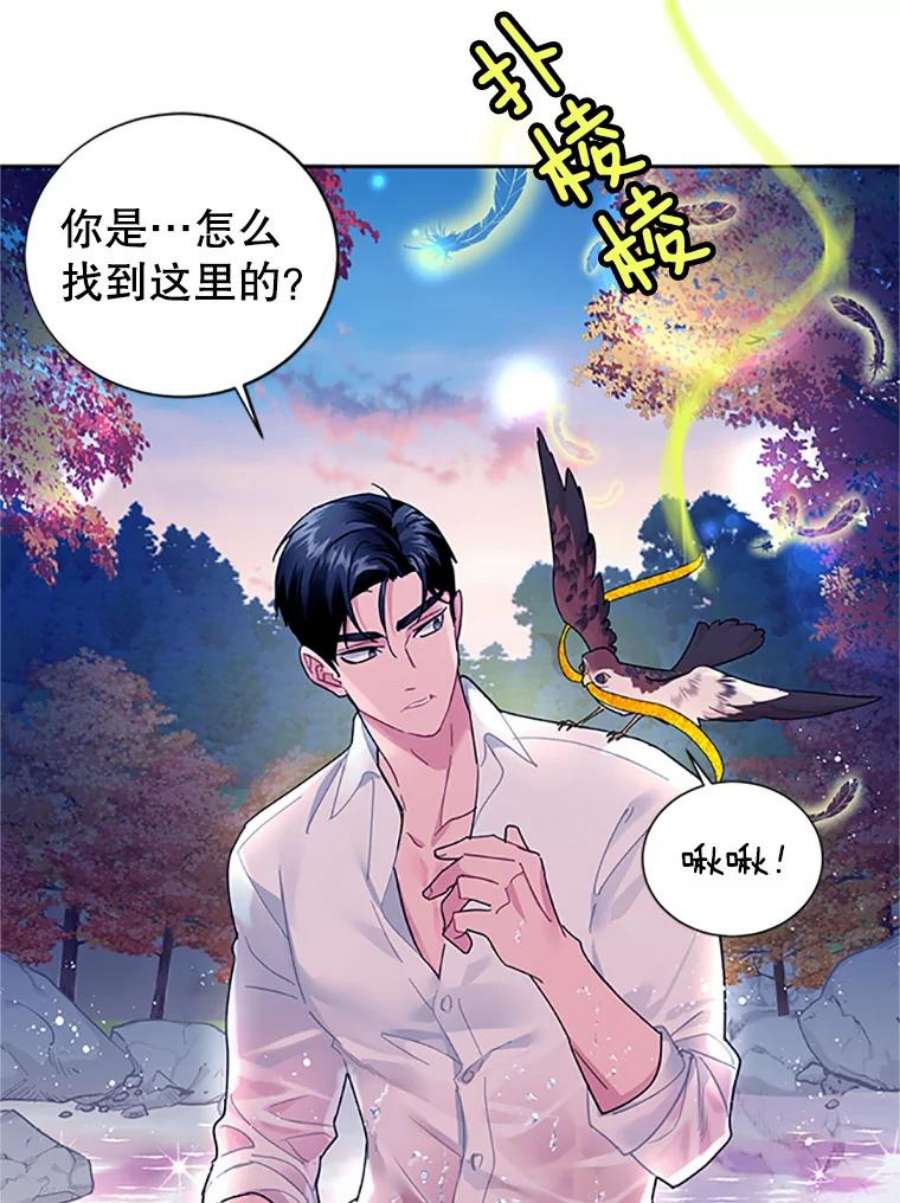传令鸟公主殿下30.选择