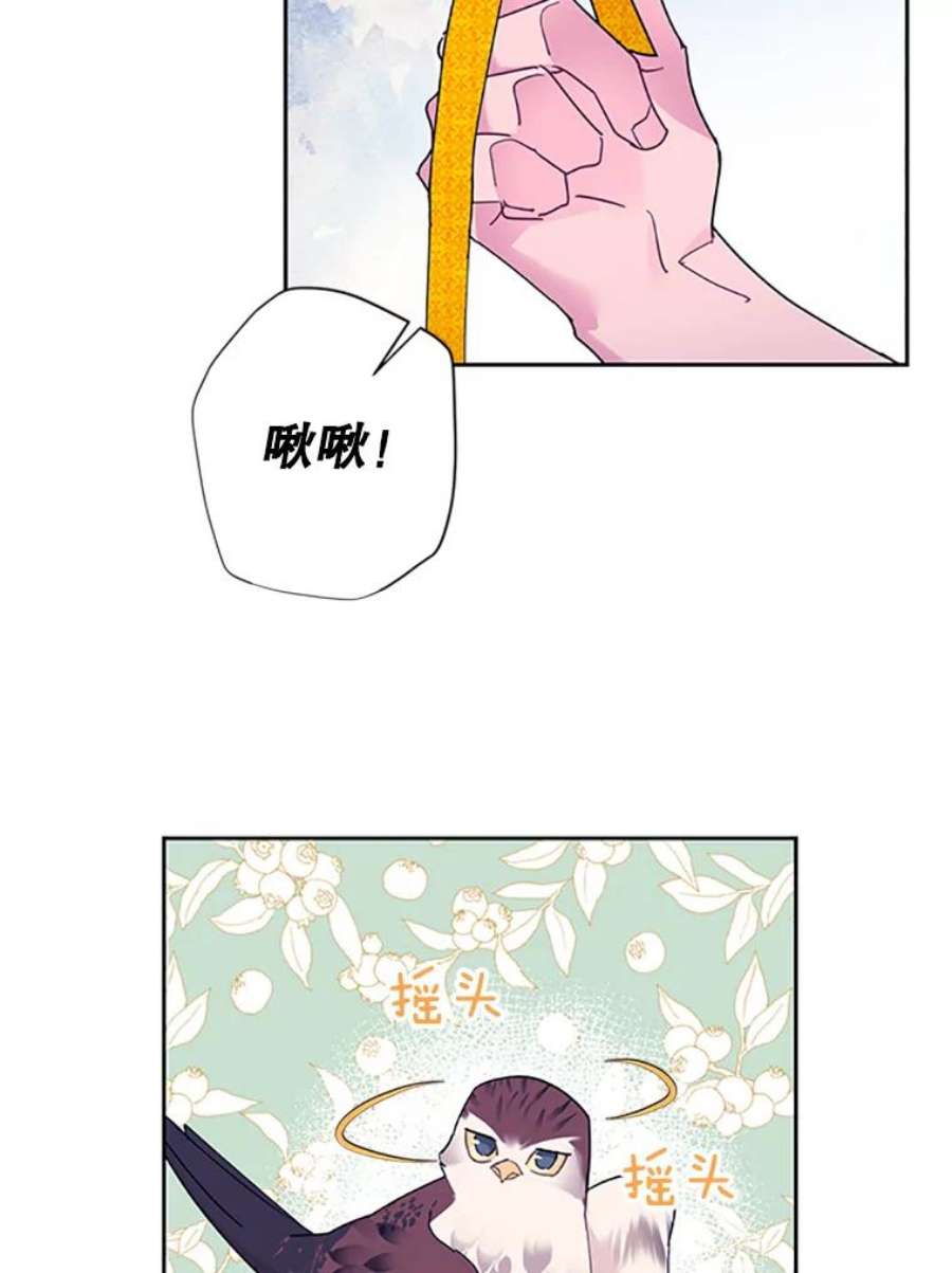 传令鸟公主殿下30.选择