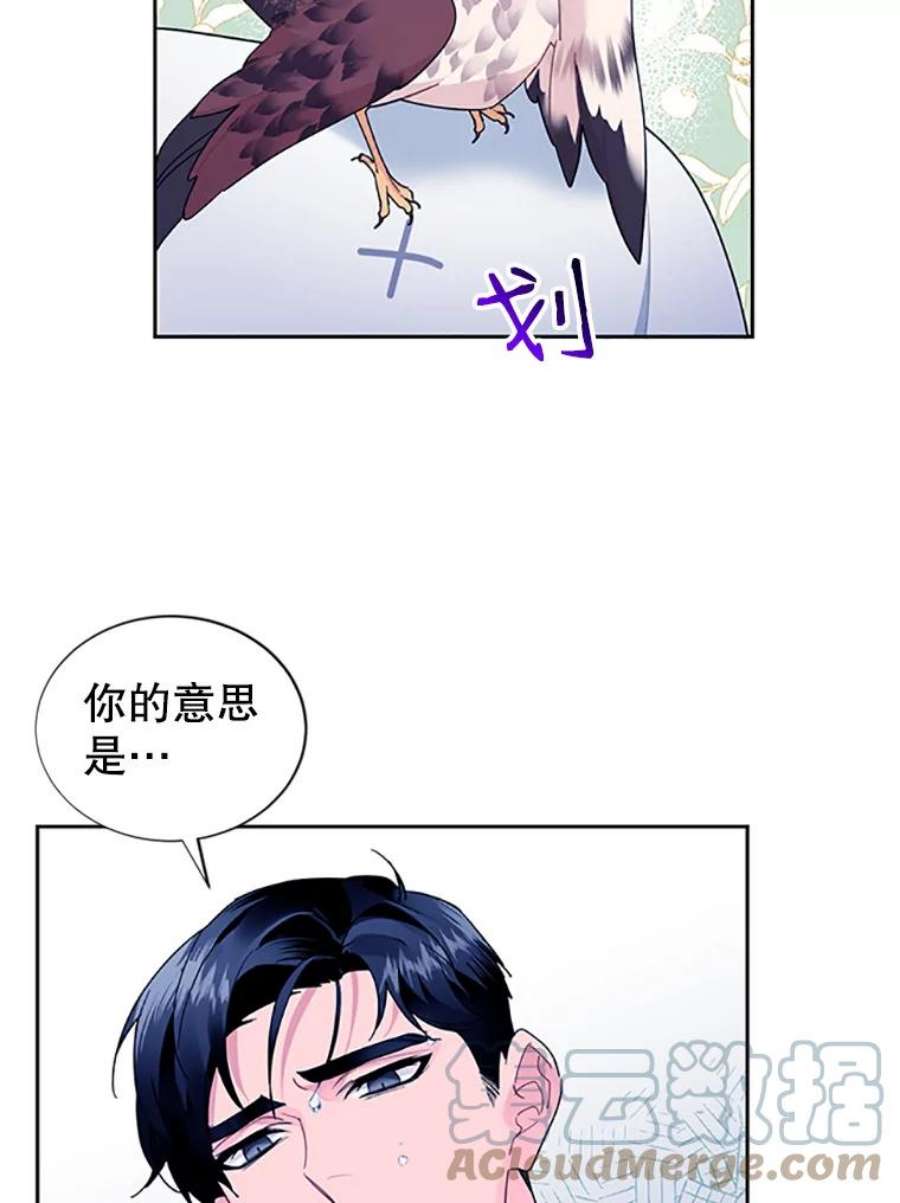 传令鸟公主殿下30.选择
