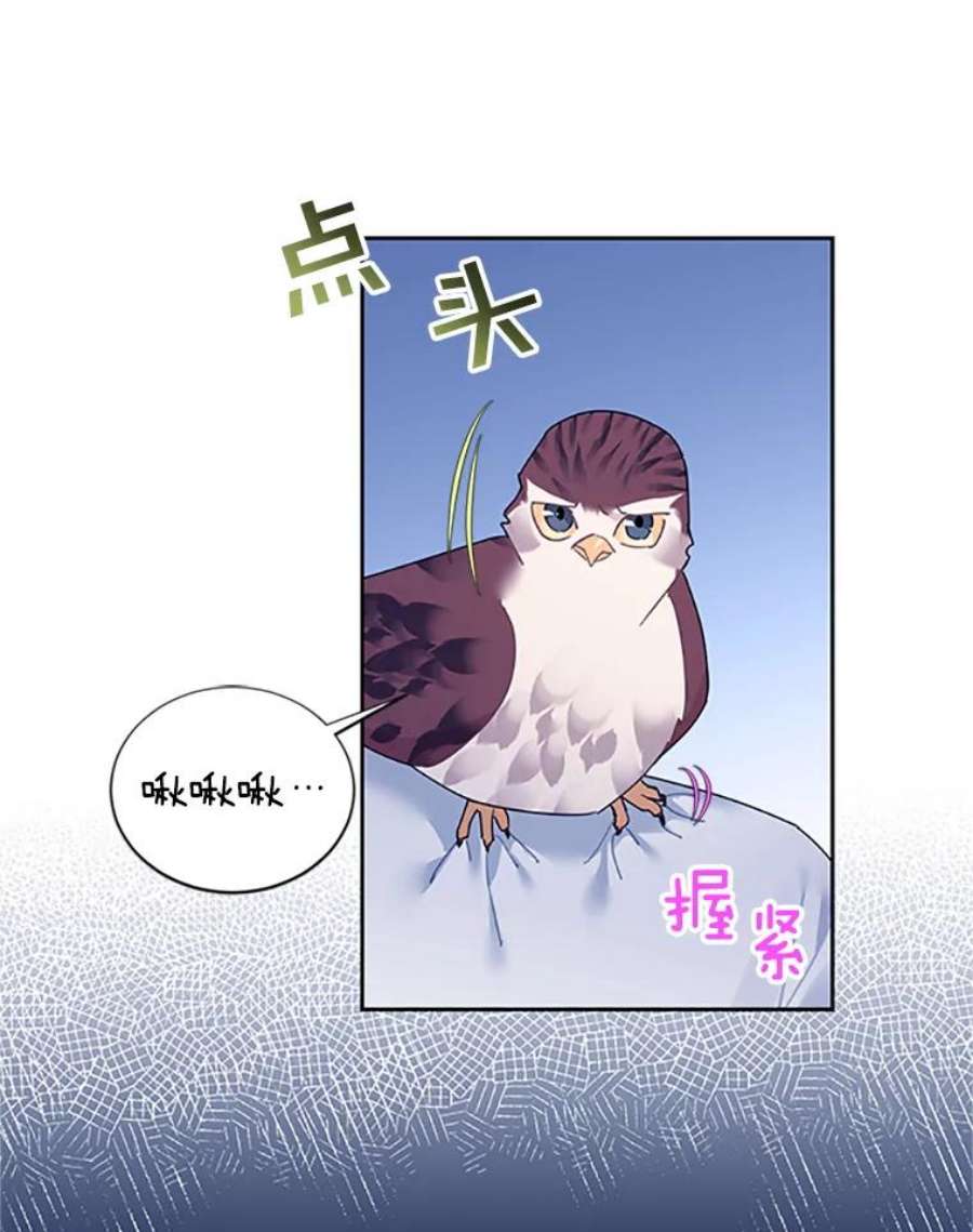 传令鸟公主殿下30.选择