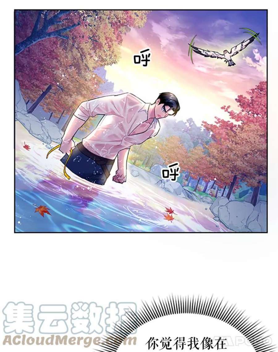 传令鸟公主殿下30.选择