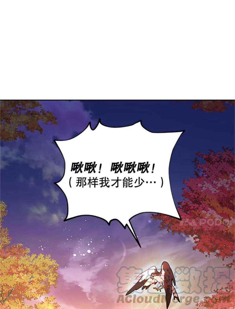 传令鸟公主殿下30.选择