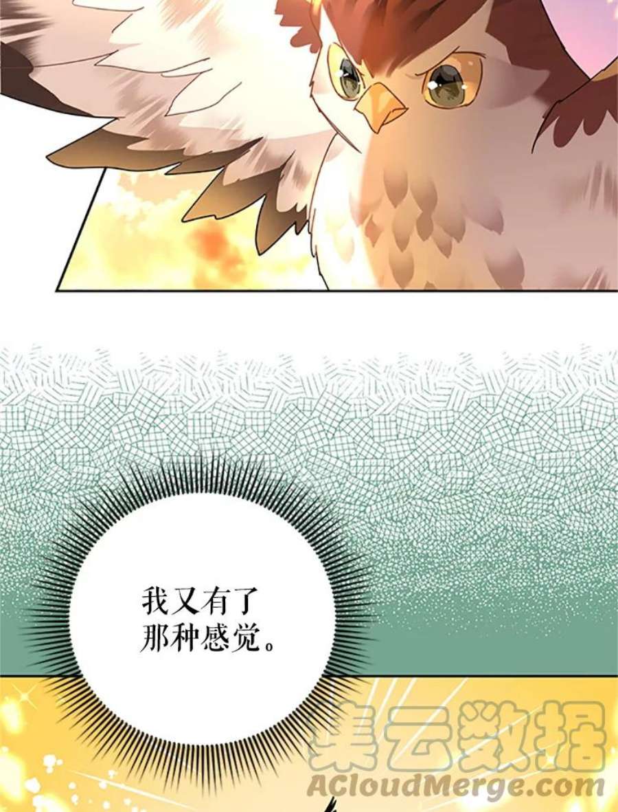 传令鸟公主殿下30.选择