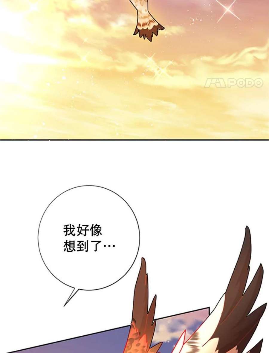传令鸟公主殿下30.选择