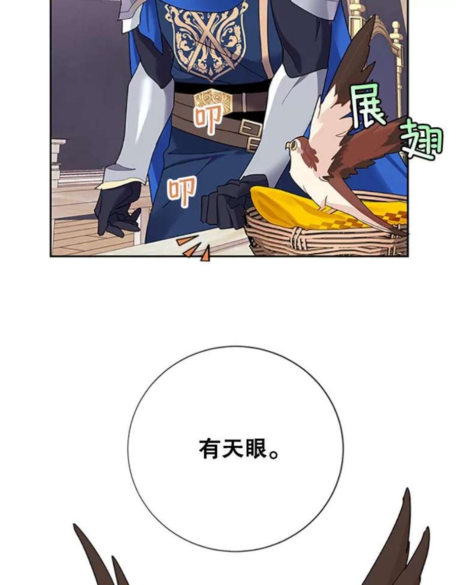 传令鸟公主殿下31.天眼
