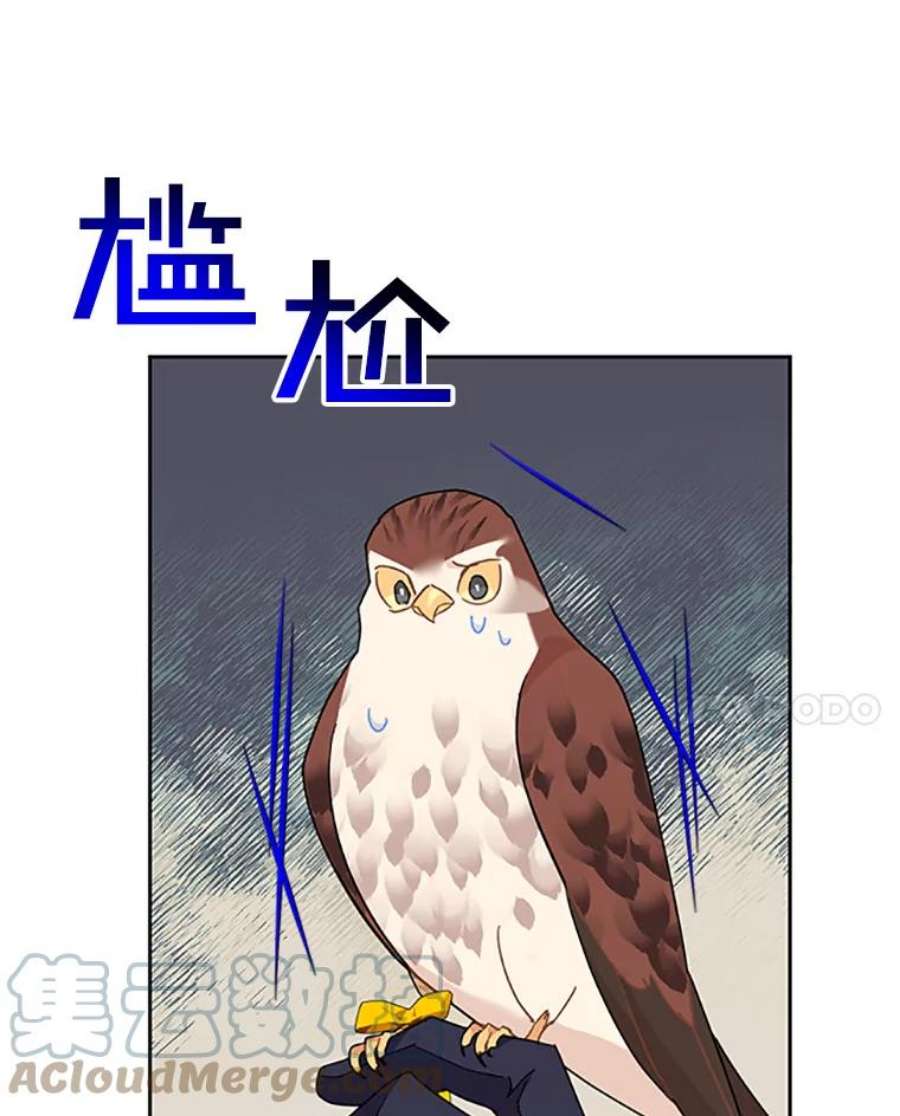 传令鸟公主殿下31.天眼
