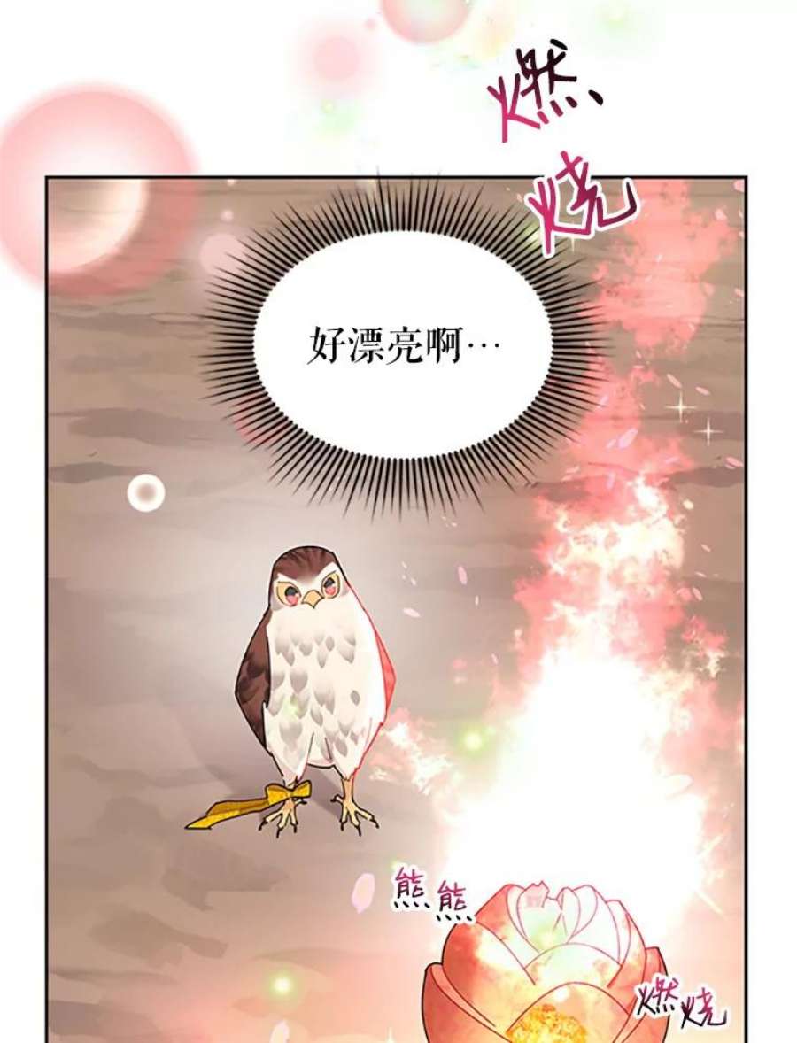 传令鸟公主殿下31.天眼