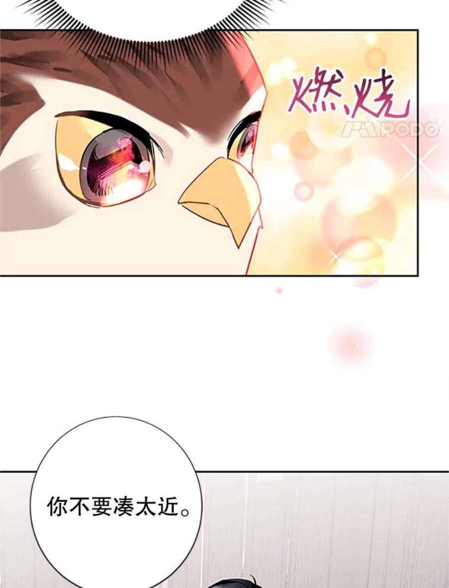 传令鸟公主殿下31.天眼