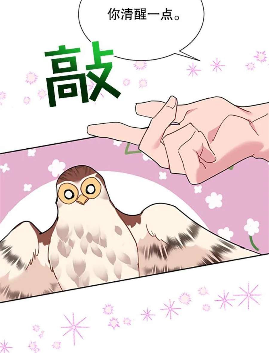 传令鸟公主殿下31.天眼