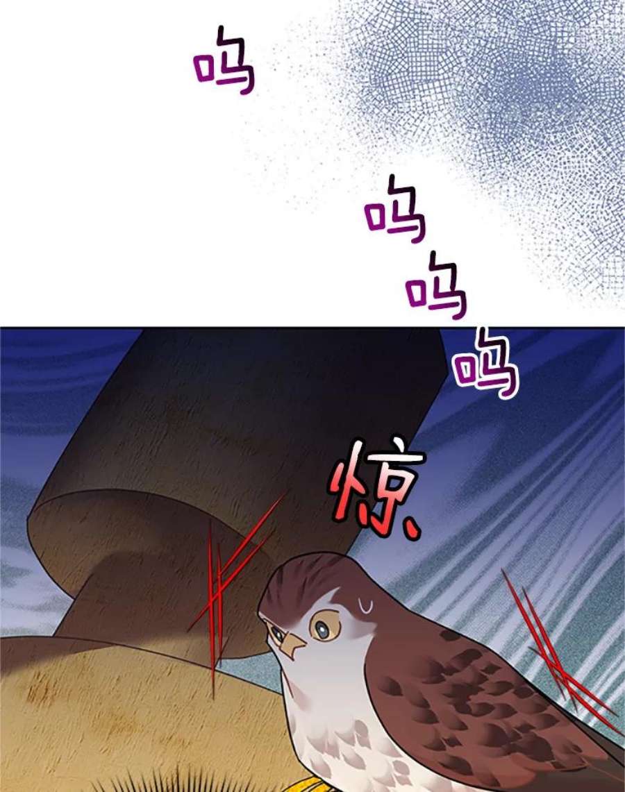 传令鸟公主殿下31.天眼