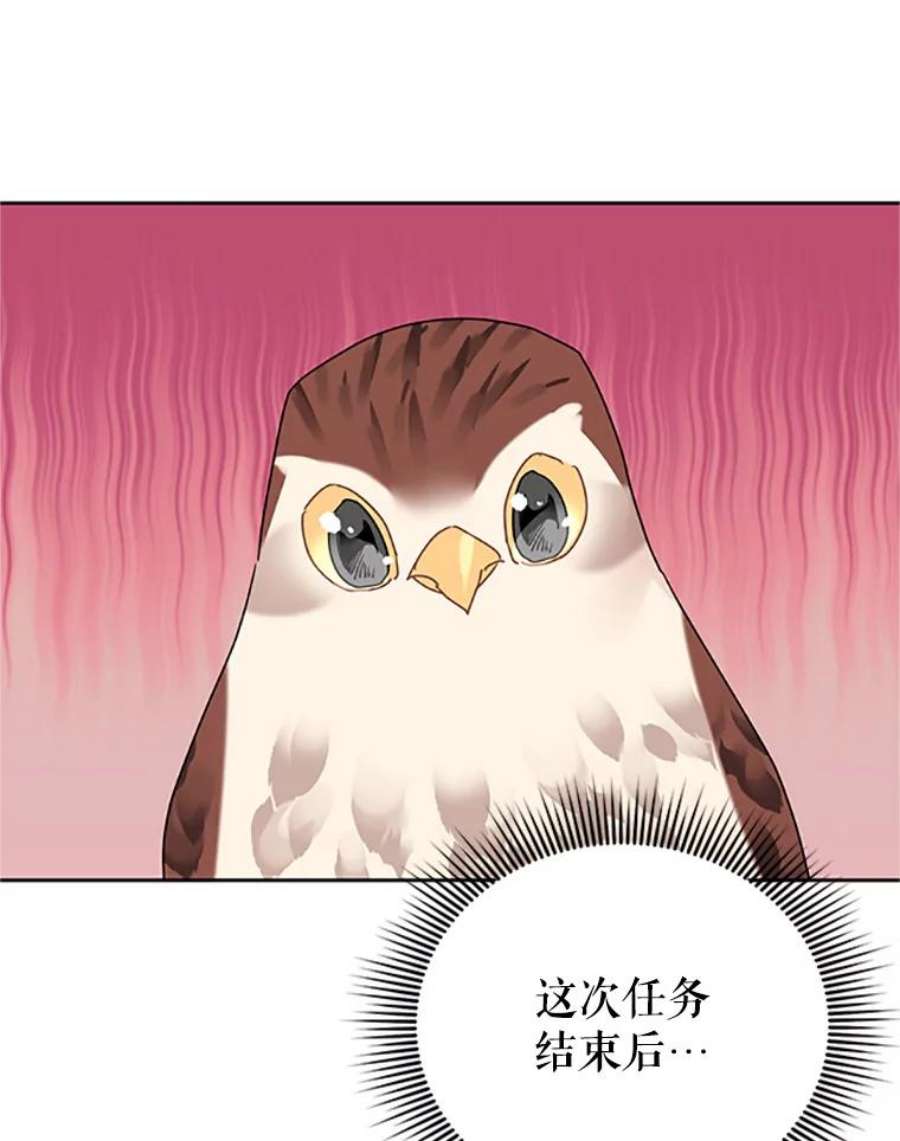 传令鸟公主殿下31.天眼