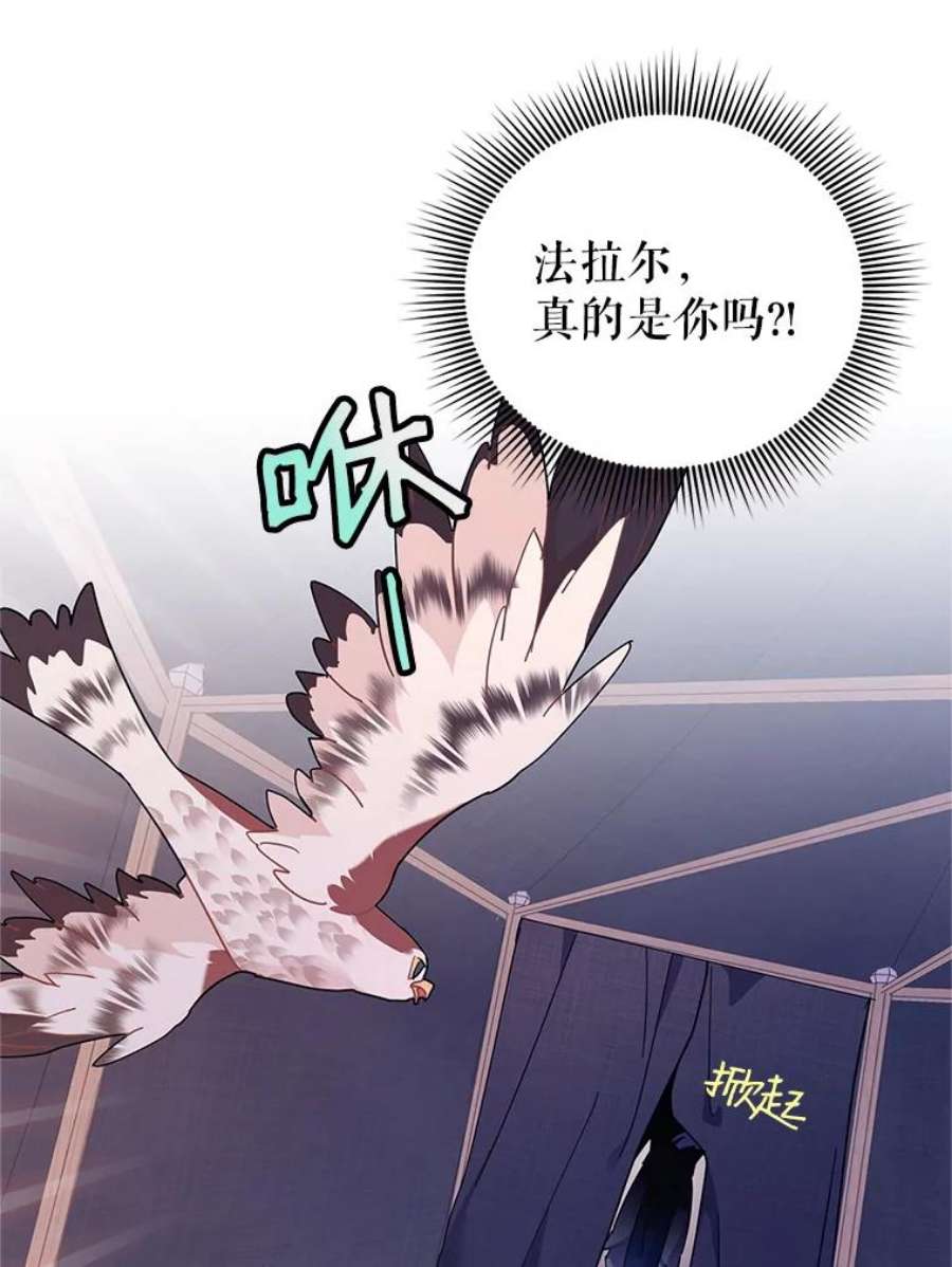 传令鸟公主殿下33.平安归来