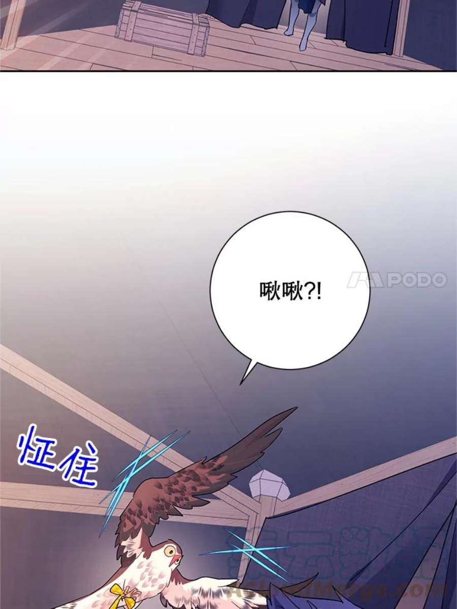 传令鸟公主殿下33.平安归来