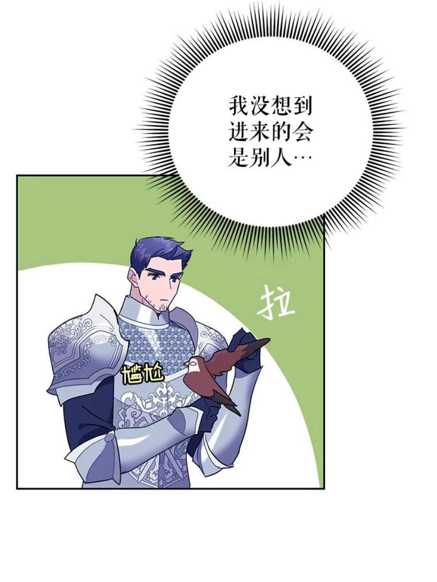传令鸟公主殿下33.平安归来