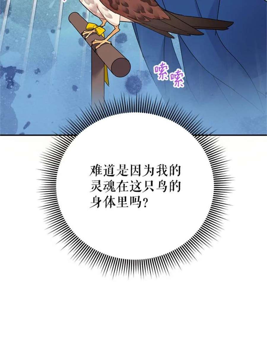传令鸟公主殿下35.活死人