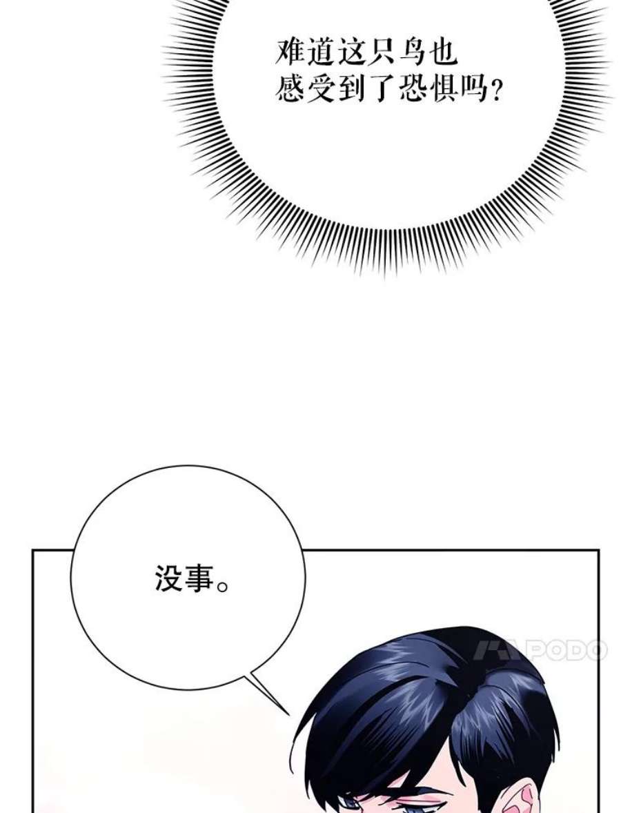 传令鸟公主殿下36.真正的阴谋