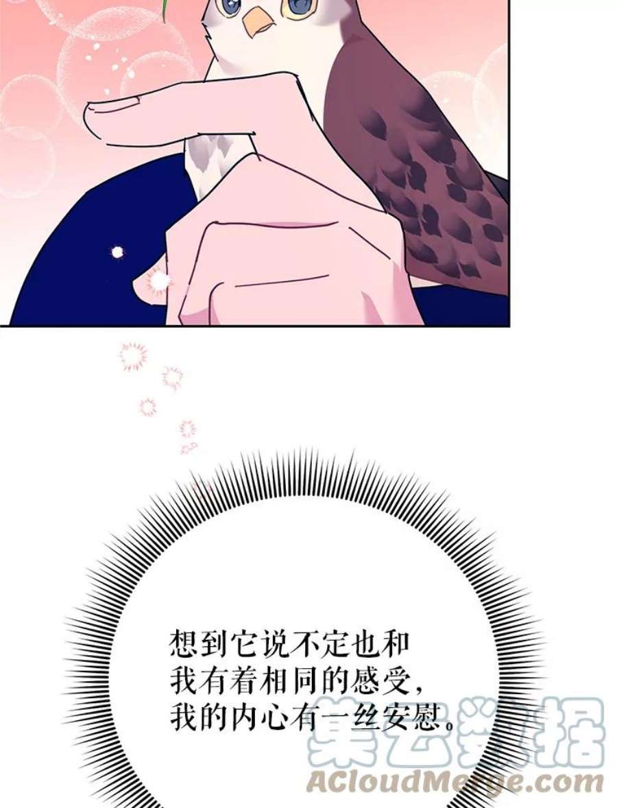 传令鸟公主殿下36.真正的阴谋