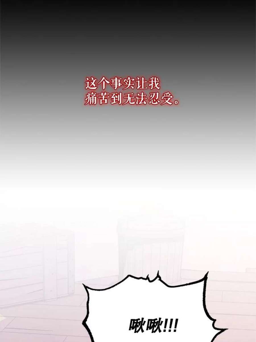 传令鸟公主殿下37.惨遭埋伏
