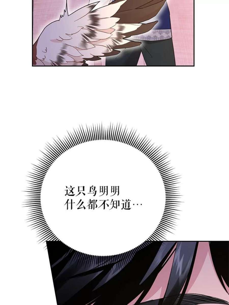 传令鸟公主殿下37.惨遭埋伏