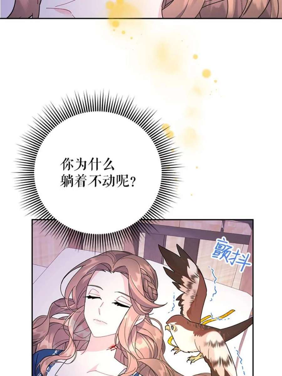 传令鸟公主殿下37.惨遭埋伏