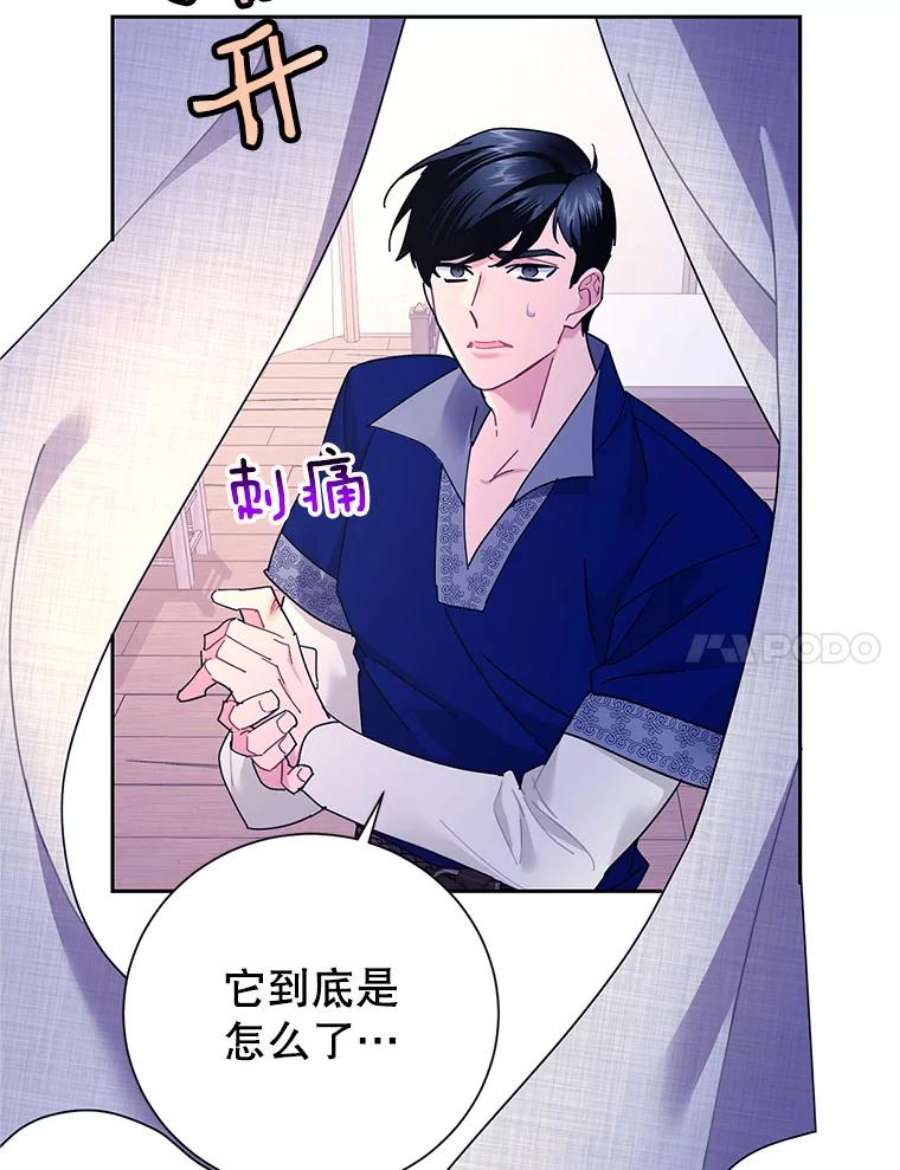 传令鸟公主殿下37.惨遭埋伏