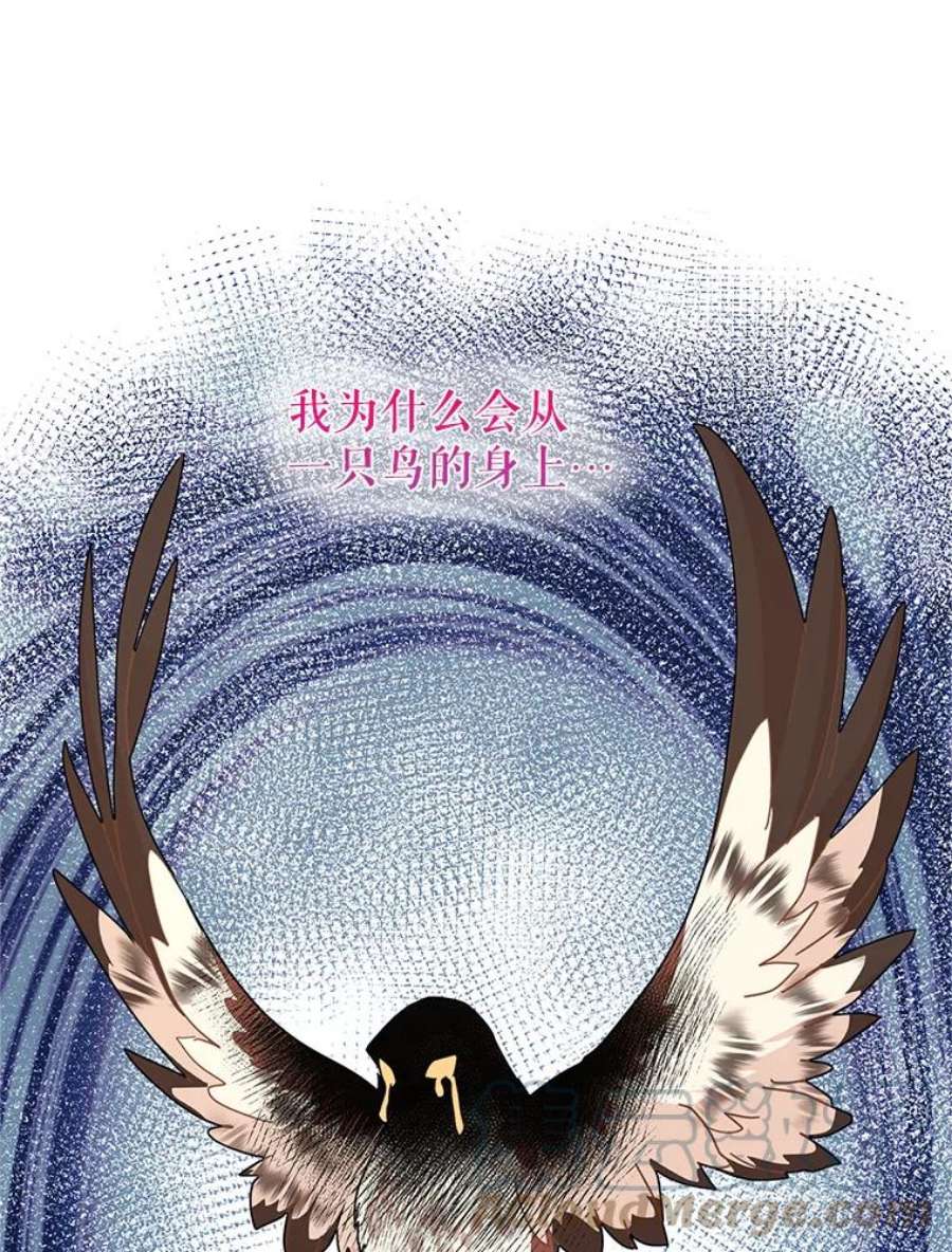 传令鸟公主殿下37.惨遭埋伏